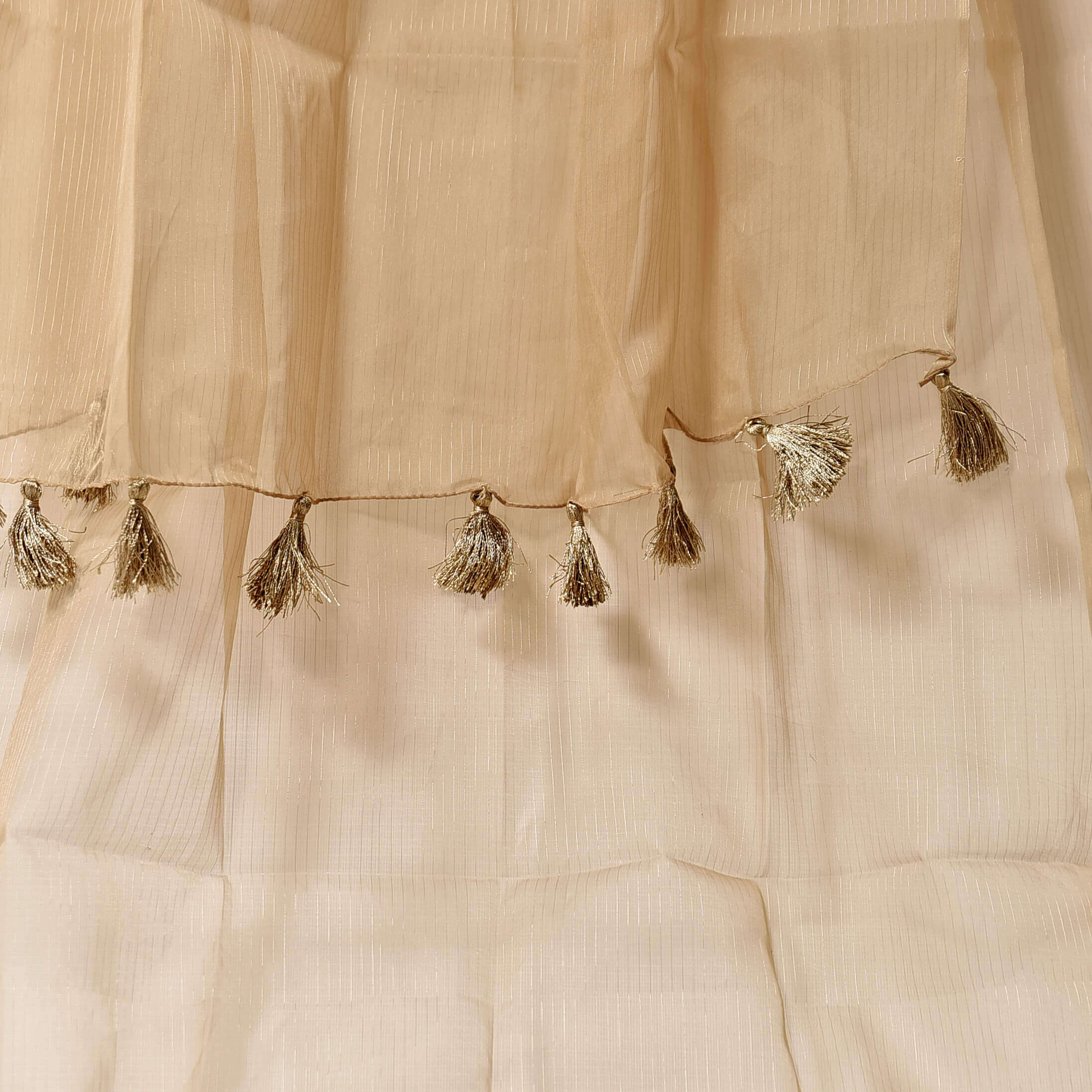 Organza Skin / Mustard with Tussle Dupatta