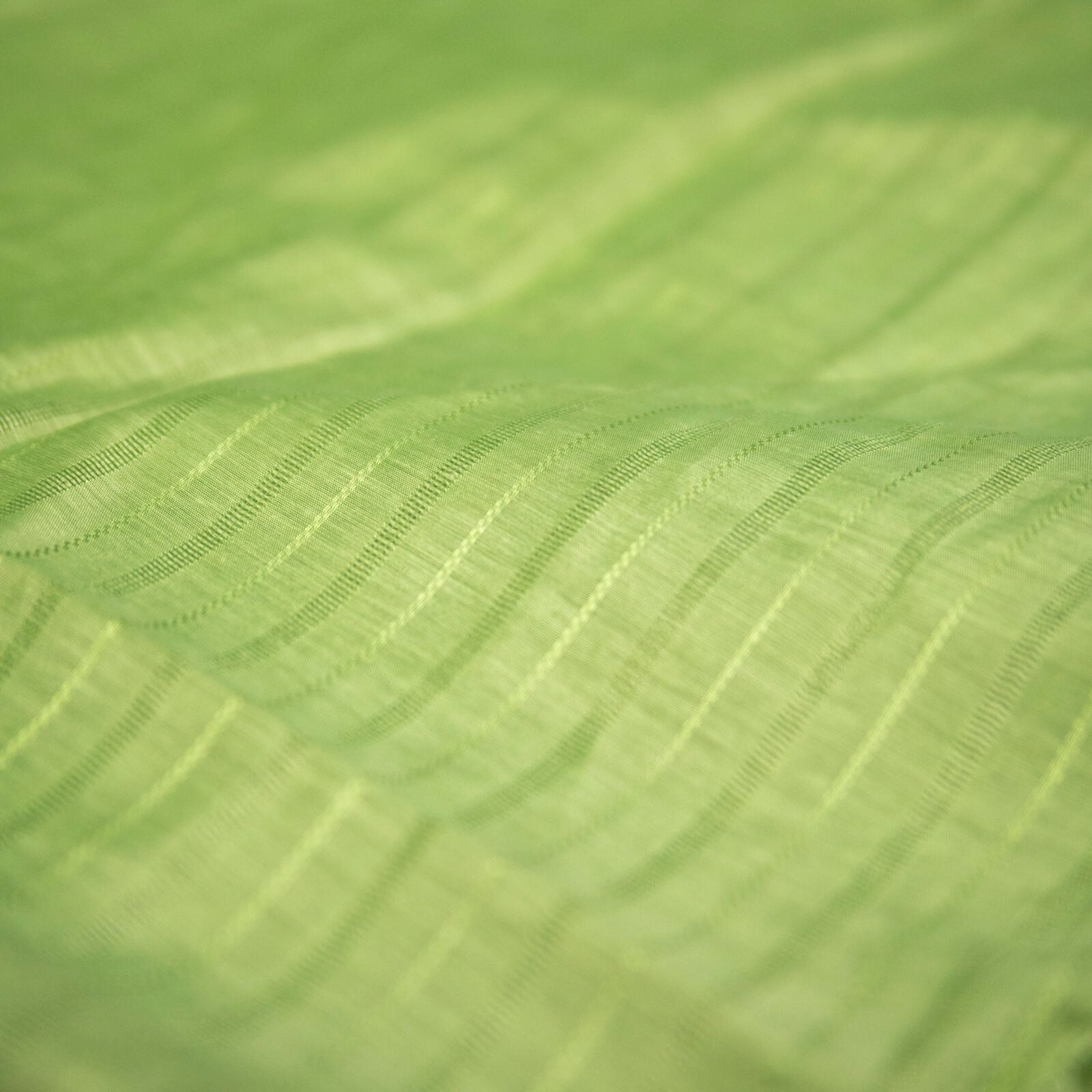 Cotton Grass Green Taarkashi with Lining Dupatta