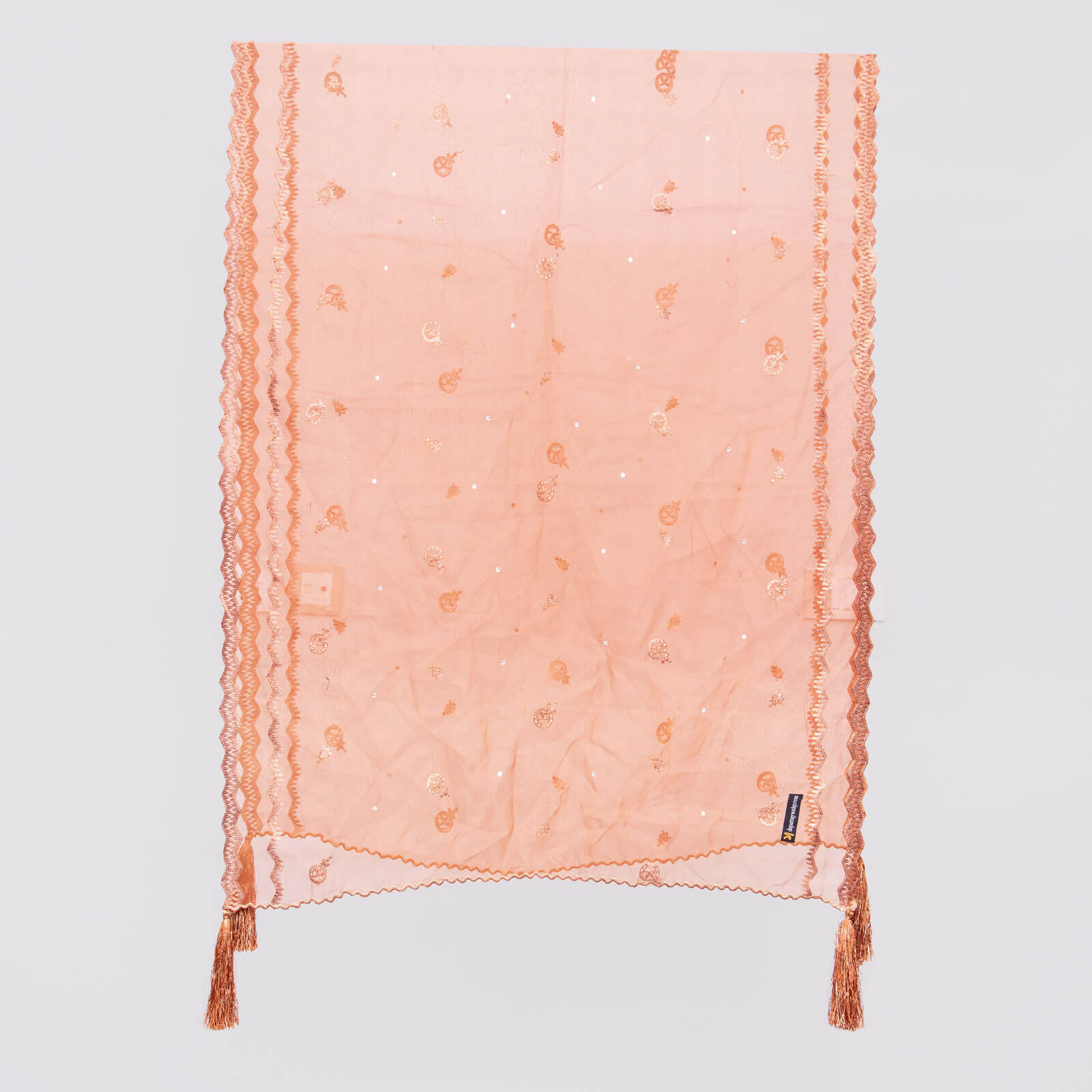 Organza Rust Embroidered All Sided Tussle Dupatta