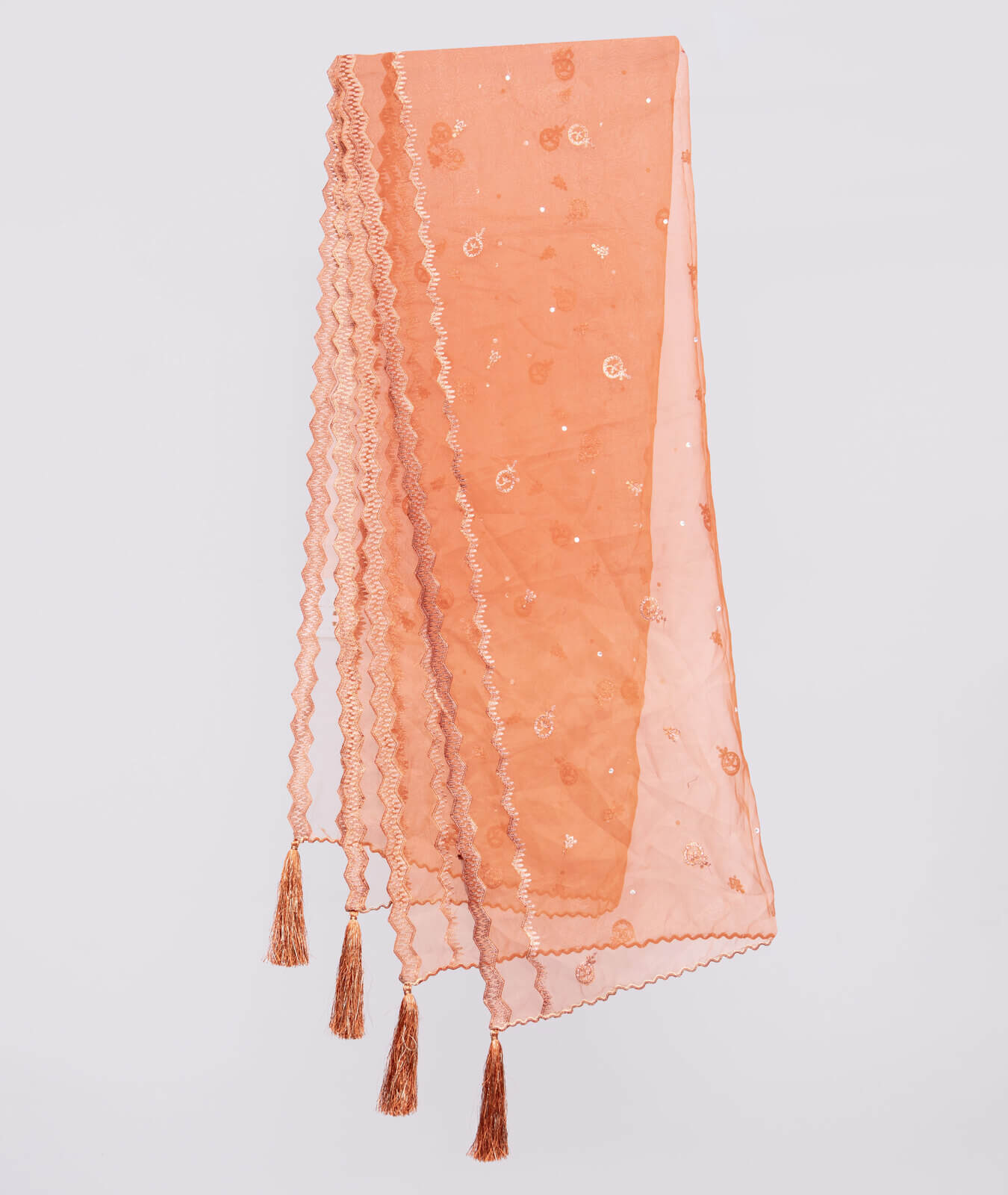 Organza Rust Embroidered All Sided Tussle Dupatta
