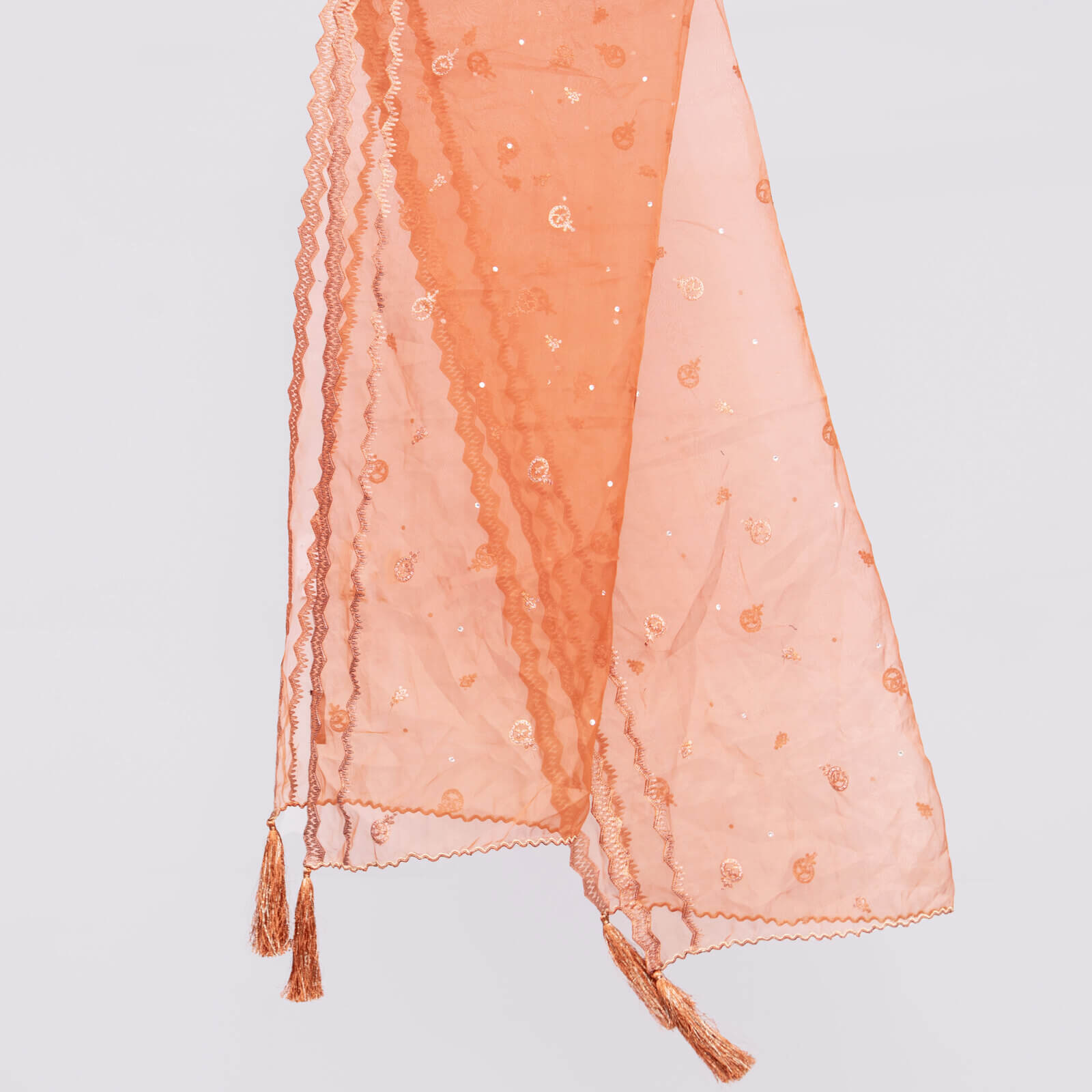 Organza Rust Embroidered All Sided Tussle Dupatta