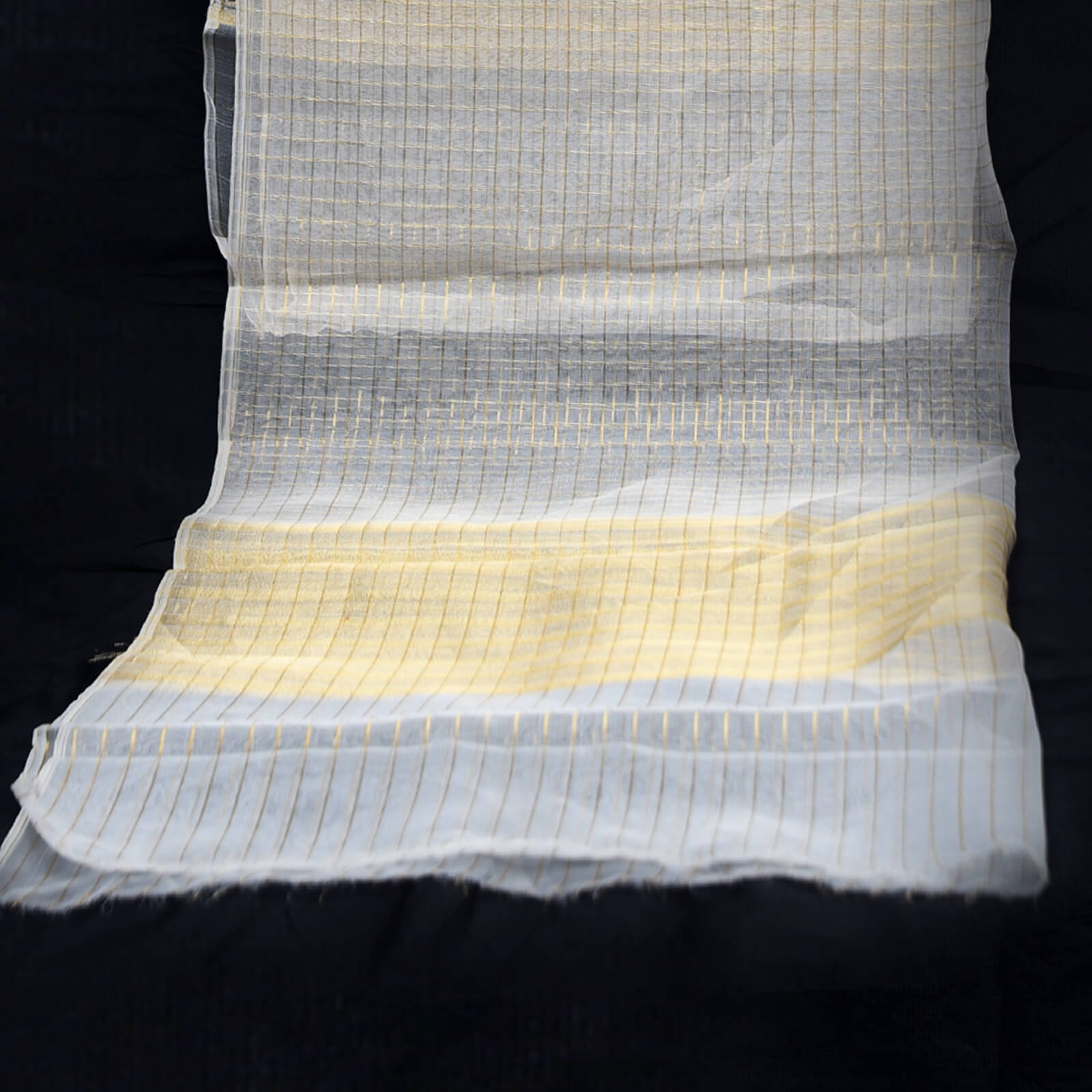 Organza Golden Zari Checkered Two Sided Border Dupatta
