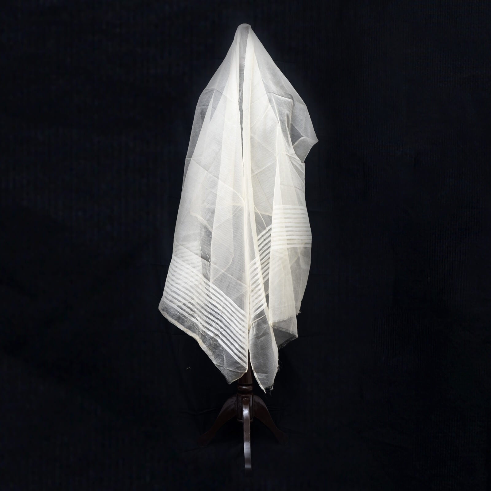 Organza Skin White Two Sided Border Dupatta