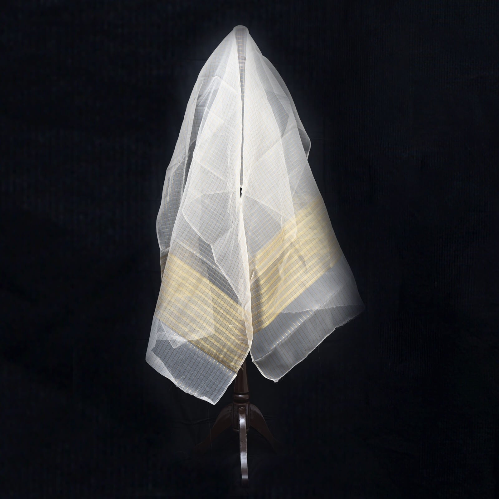 Organza Golden Zari Checkered Two Sided Border Dupatta