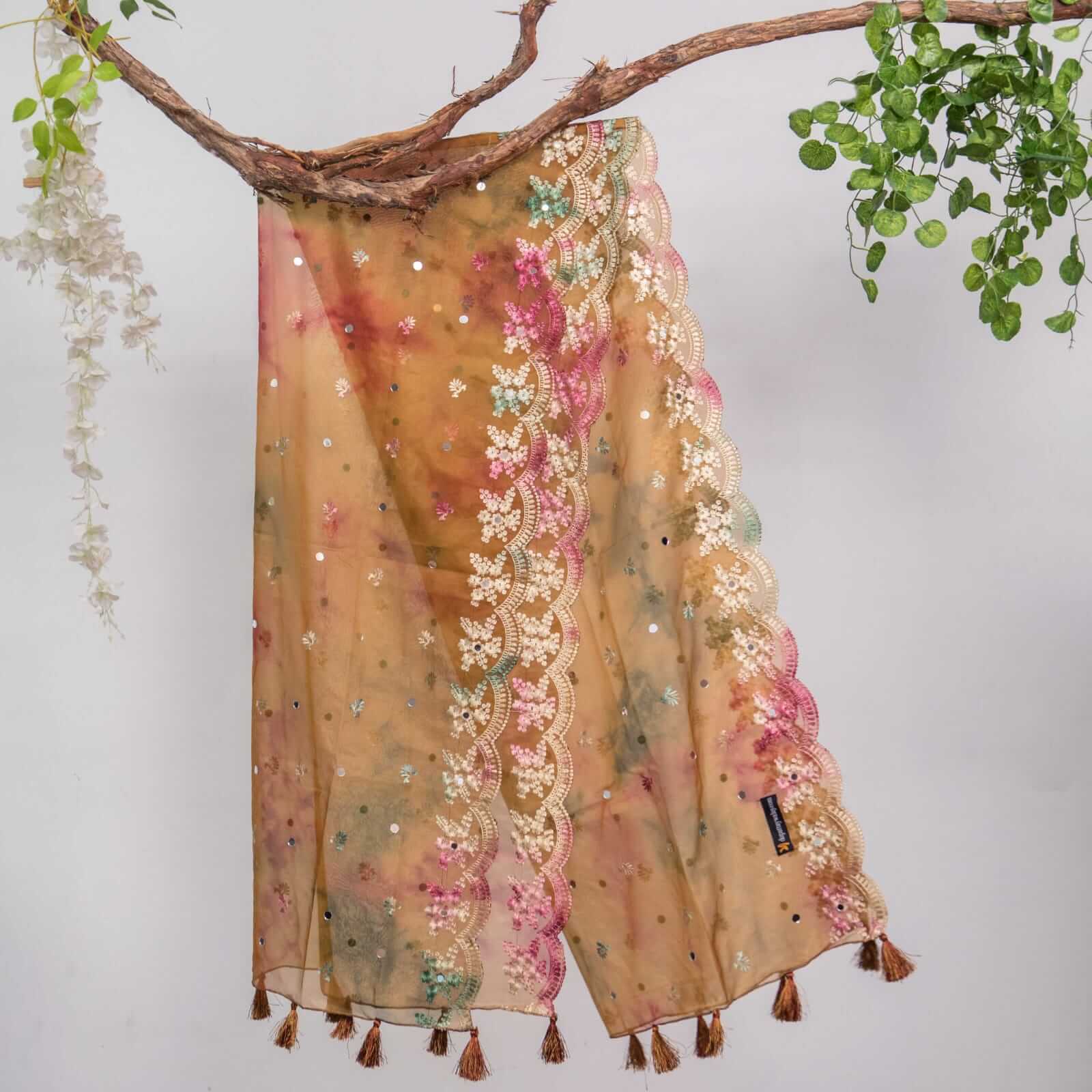 Organza Brown Tie Dye Embroidered Two Sided Tussle With Mirror Work Dupatta