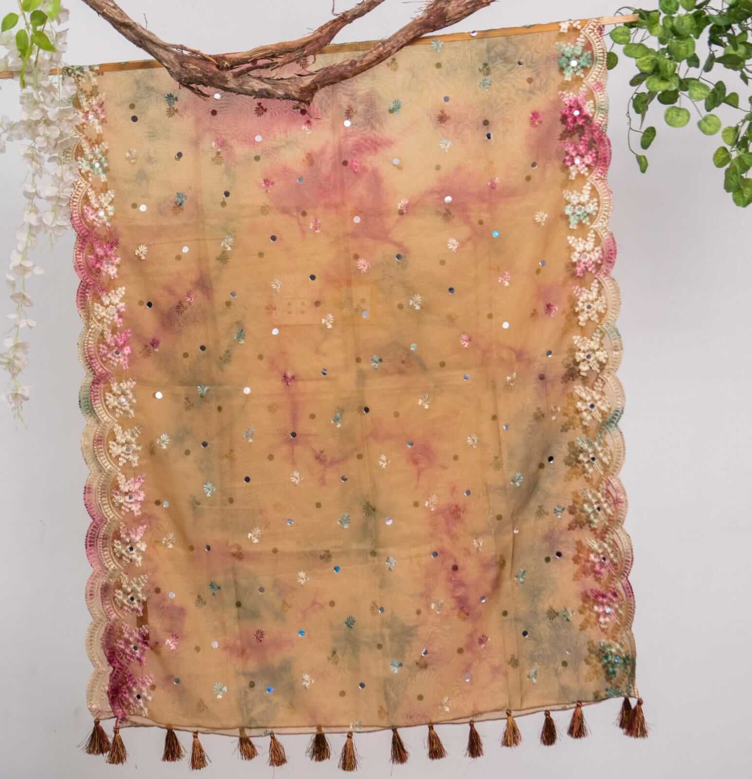 Organza Brown Tie Dye Embroidered Two Sided Tussle With Mirror Work Dupatta