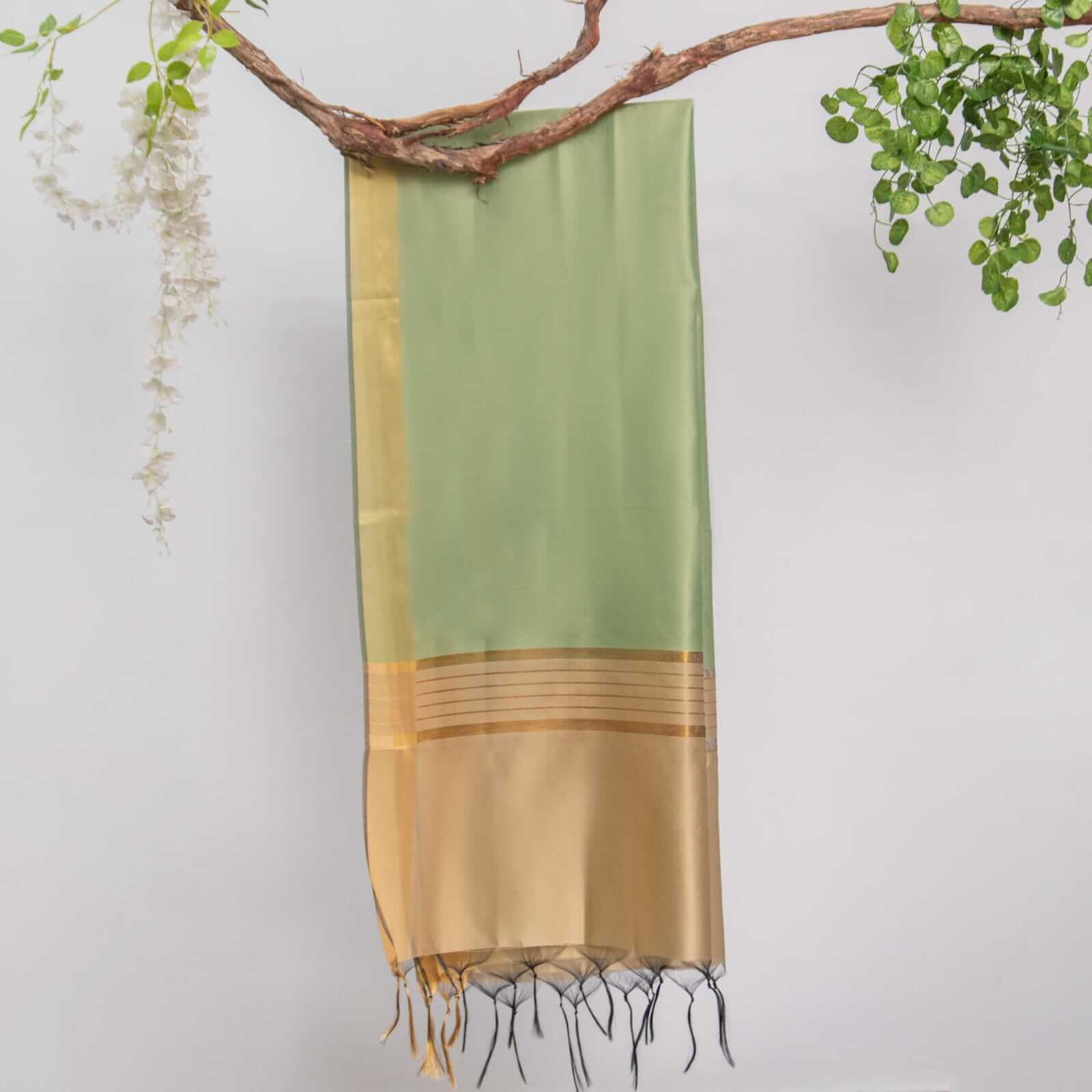 Cotton Silk Pistachio Green All Sided Border Dupatta