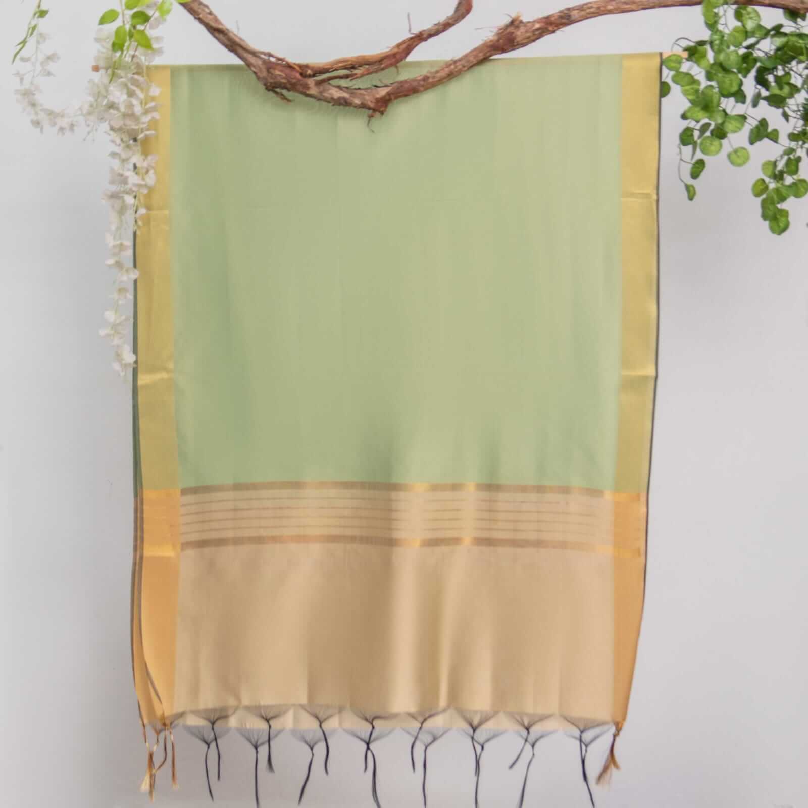 Cotton Silk Pistachio Green All Sided Border Dupatta