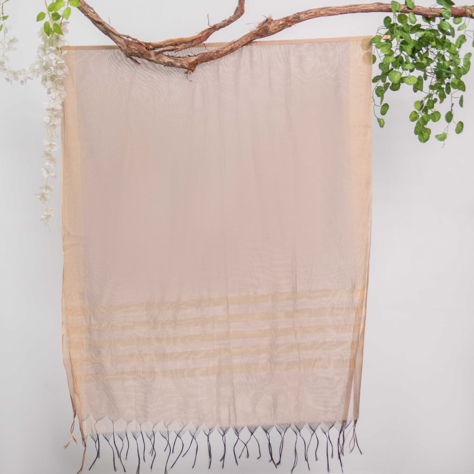 Khaddi Woven Oak Brown All Sided Border Dupatta