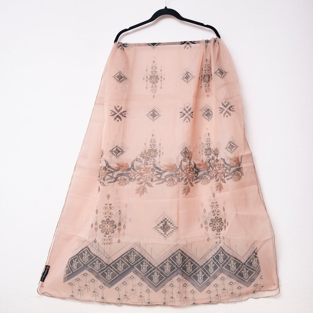 Graceful Beige Organza Dupatta with Elegant Grey Motifs DUPPATTY WALAY