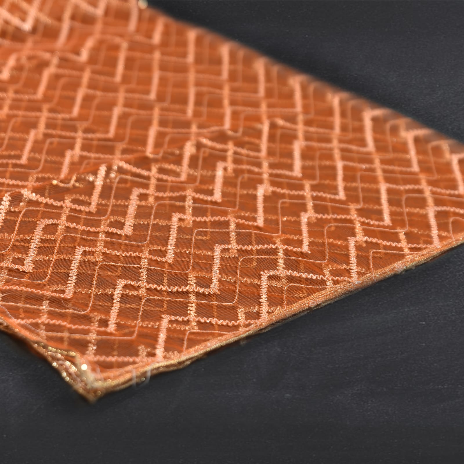 Net Orange Embroidered Dupatta