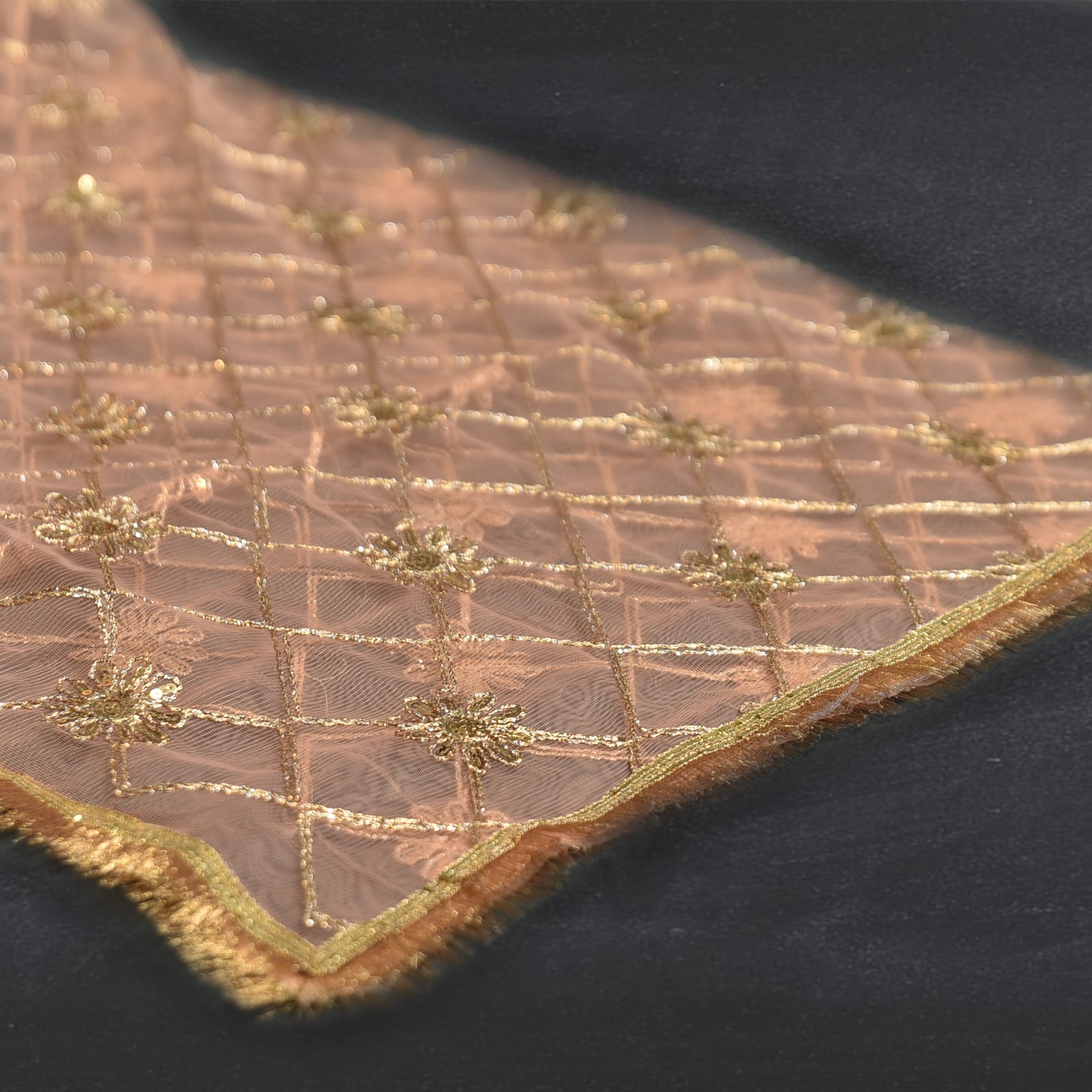 Net Light Peach Embroidered with Lace Dupatta