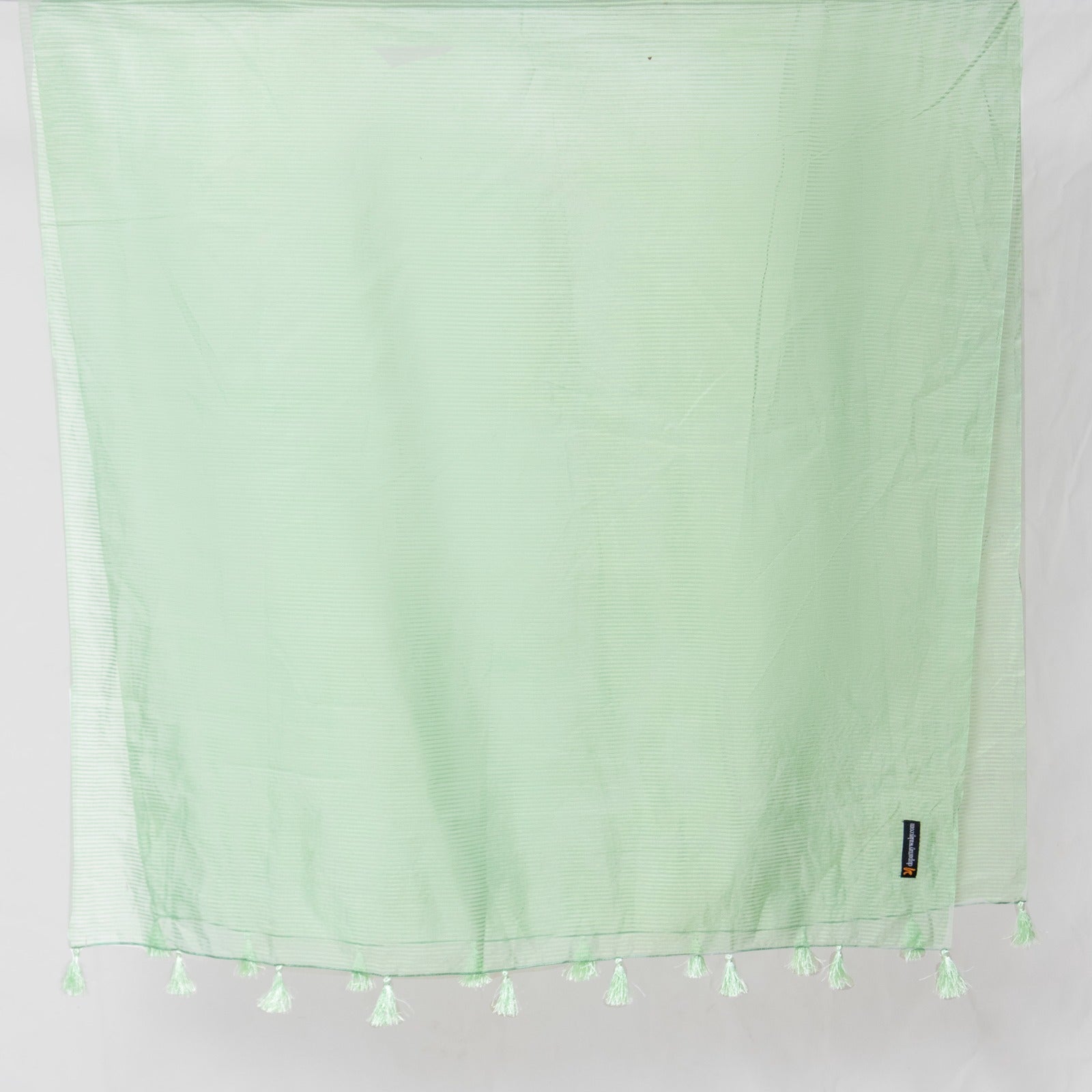 Organza Pastel Green Striped with Tussle Dupatta