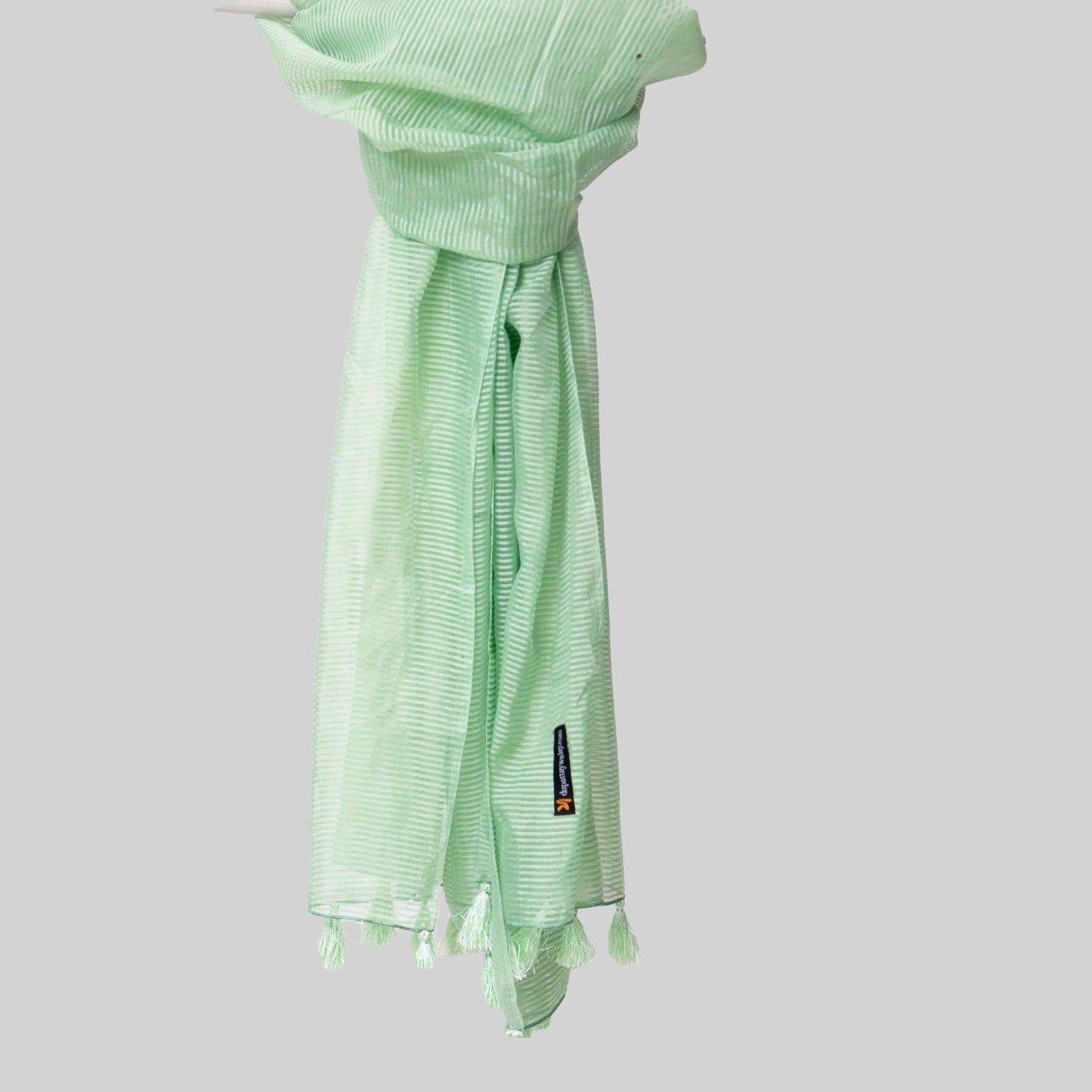 Organza Pastel Green Striped with Tussle Dupatta