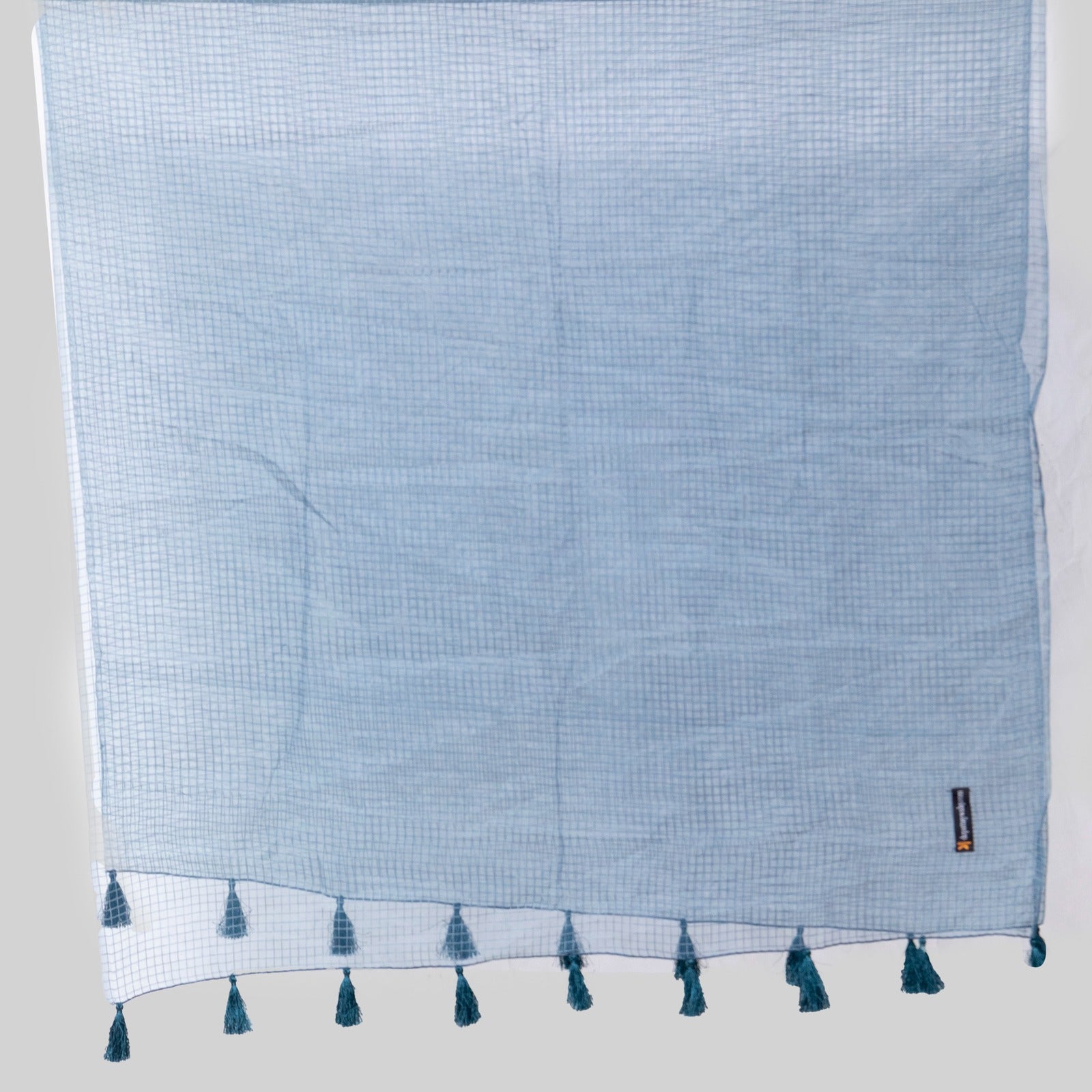 Organza Zinc Checkered with Tussle Dupatta