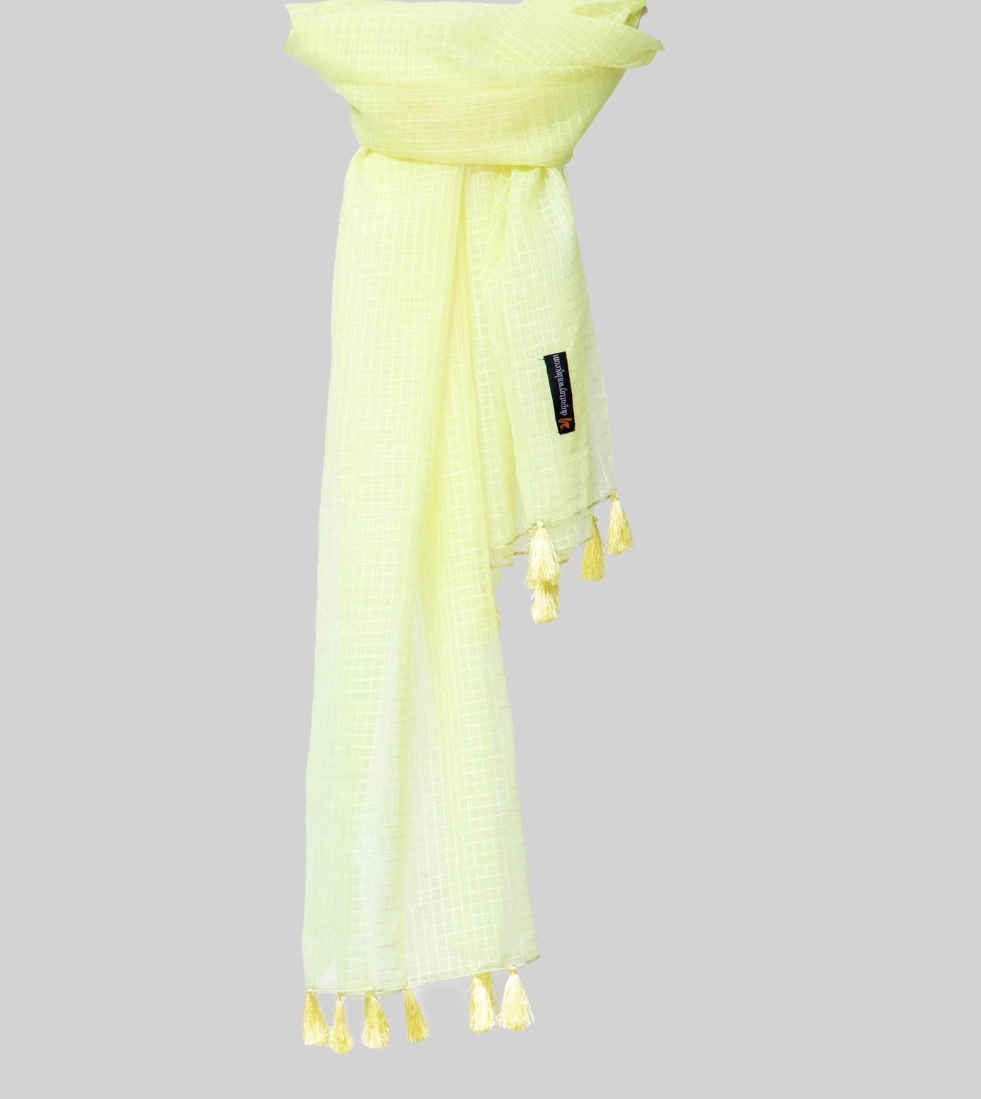 Organza Cream Checkered with Tussle Dupatta