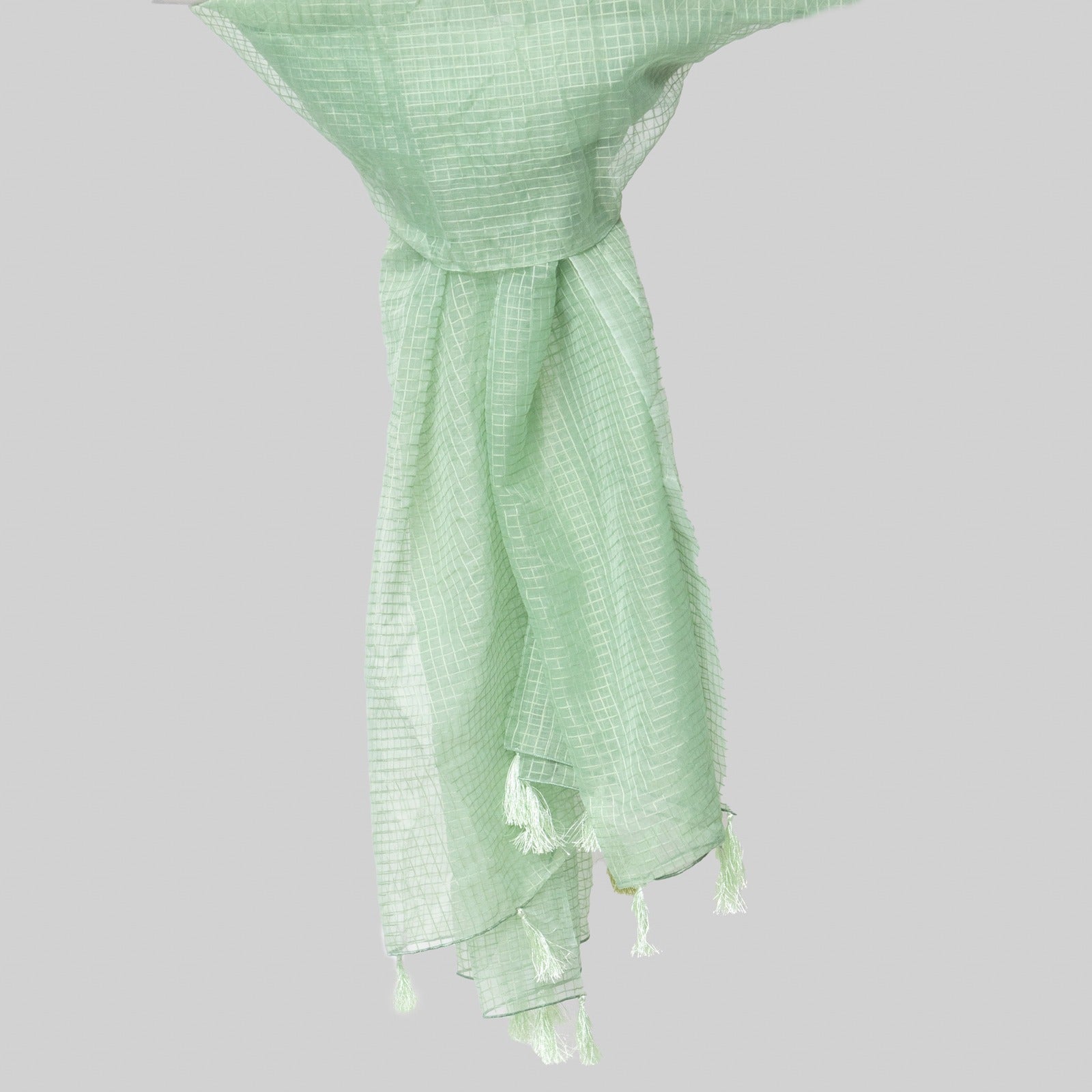 Organza Pastel Green Checkered with Tussle Dupatta