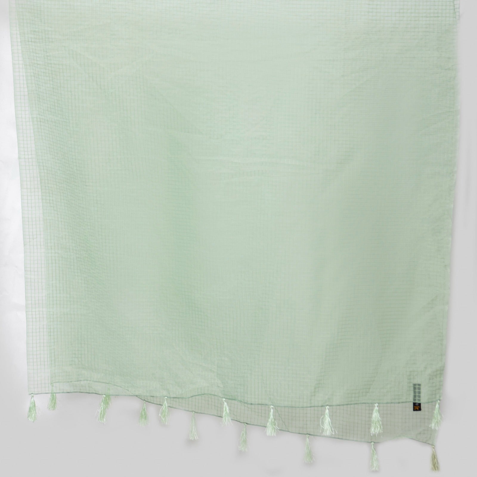 Organza Pastel Green Checkered with Tussle Dupatta