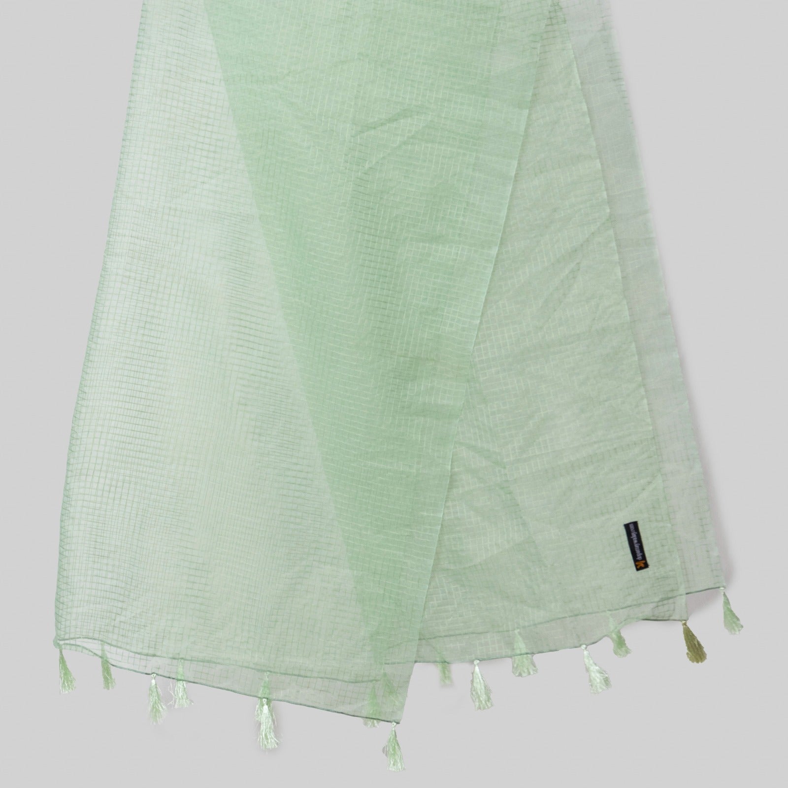Organza Pastel Green Checkered with Tussle Dupatta