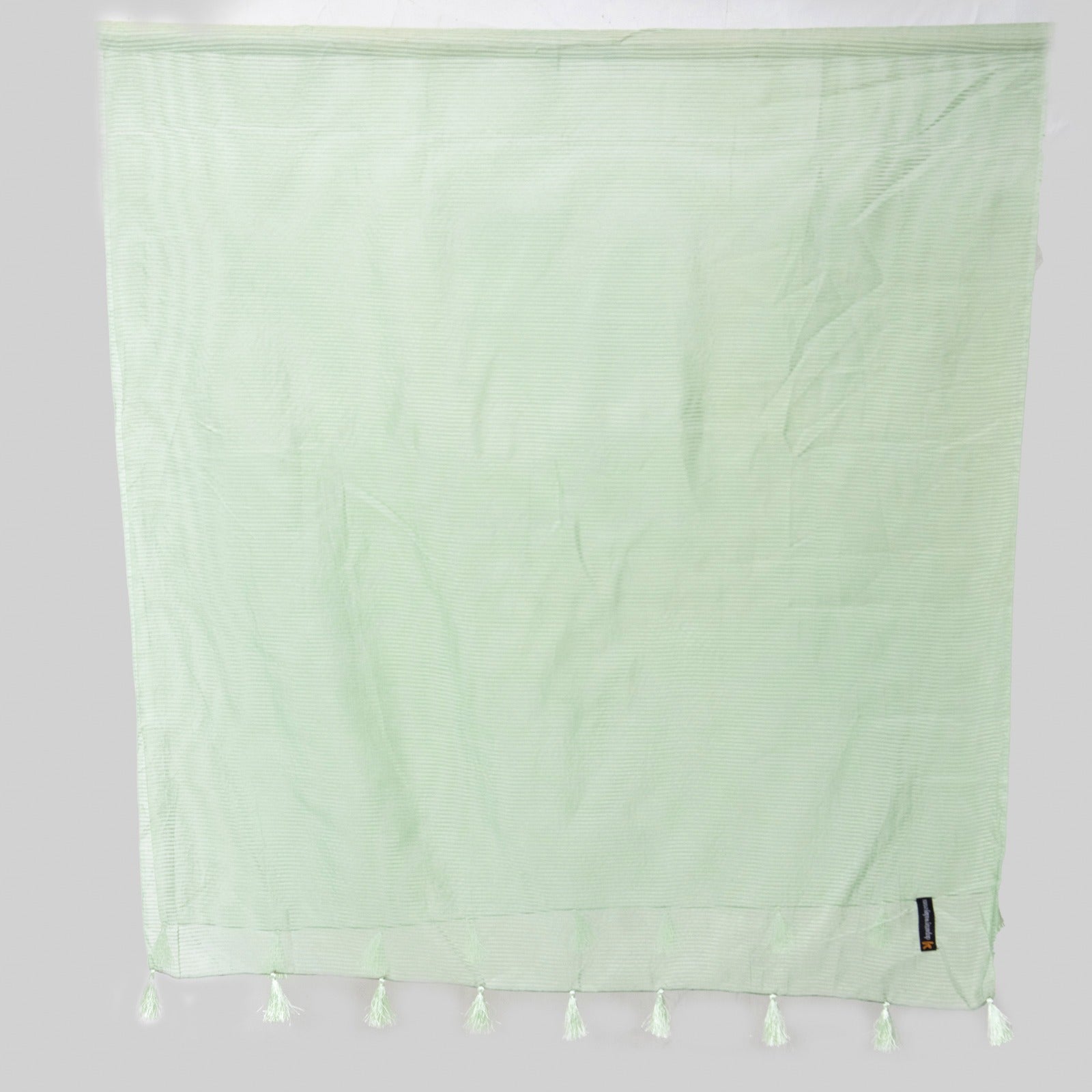 Organza Pastel Green Striped with Tussle Dupatta