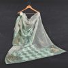 Organza Pale Turquoise Embroidered Dupatta