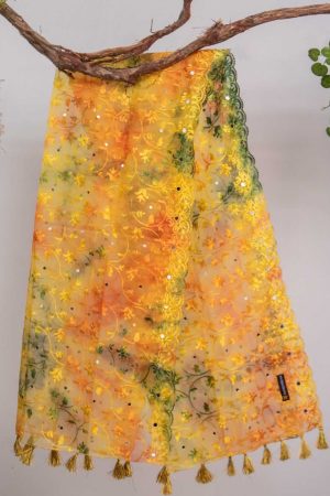 Organza Orange Tie Dye Embroidered All Sided Lace With Mirror Work Dupatta