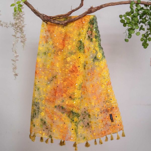 Organza Orange Tie Dye Embroidered All Sided Lace With Mirror Work Dupatta