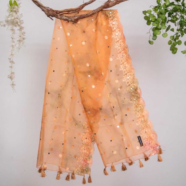 Organza Peach Tie Dye Embroidered All Sided Lace With Mirror Work Dupatta